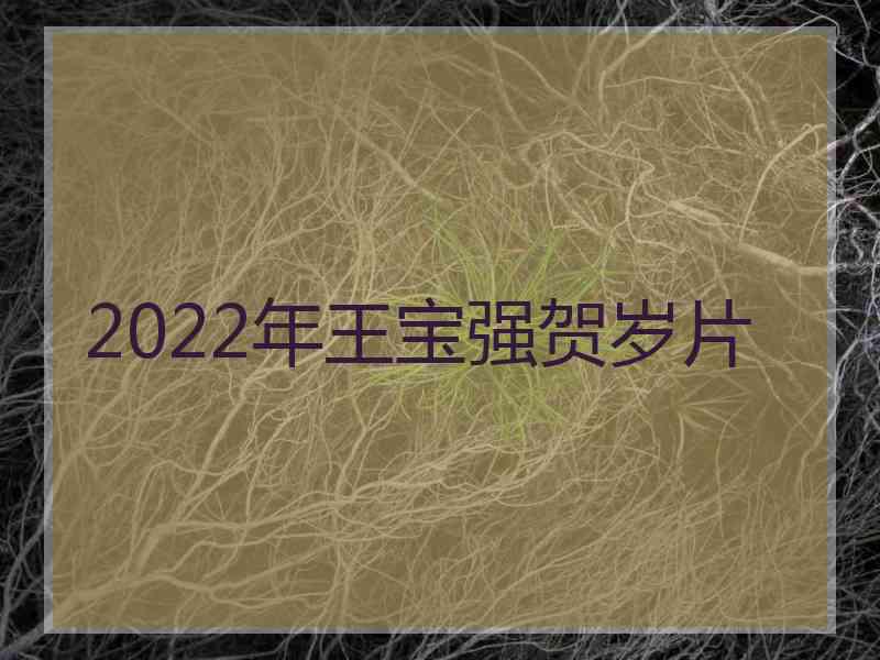 2022年王宝强贺岁片