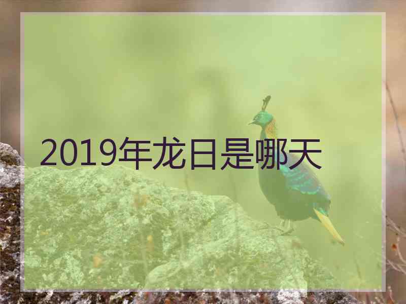 2019年龙日是哪天