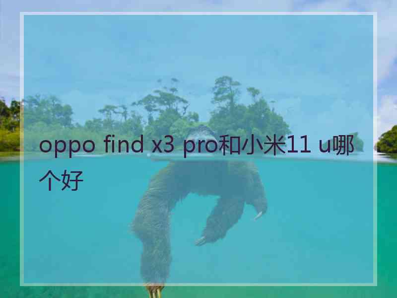 oppo find x3 pro和小米11 u哪个好