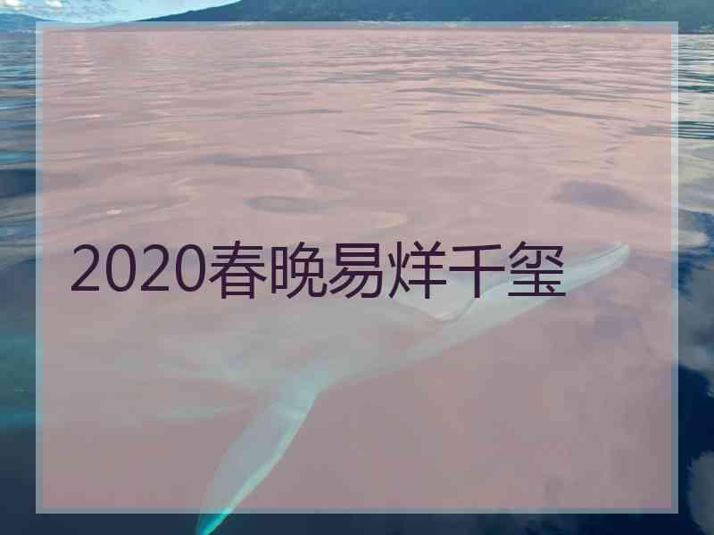 2020春晚易烊千玺