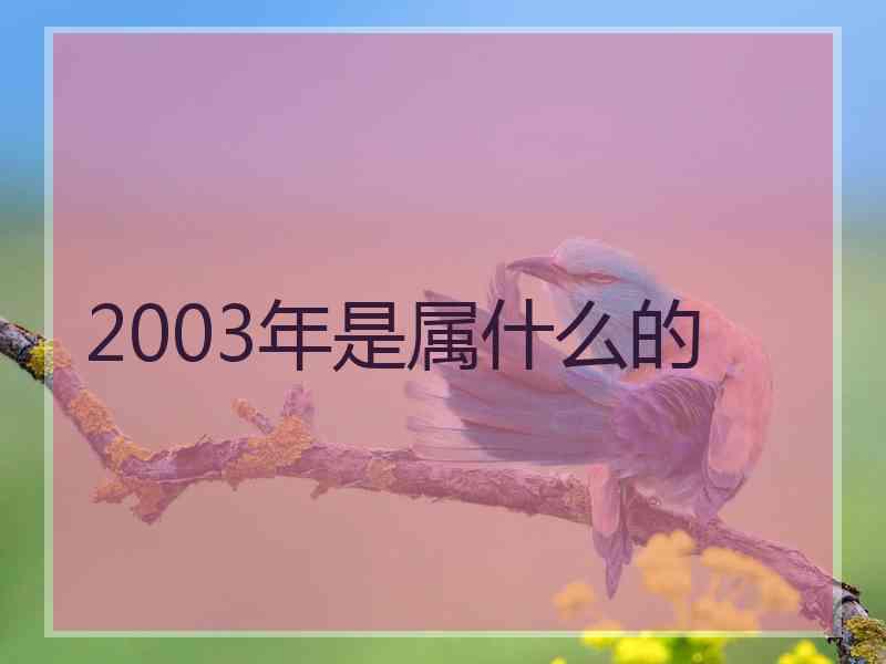 2003年是属什么的