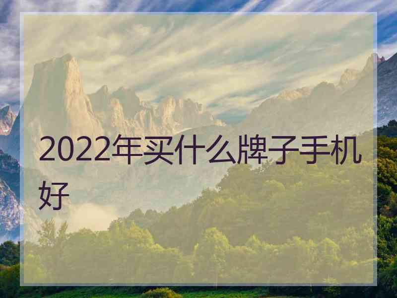 2022年买什么牌子手机好