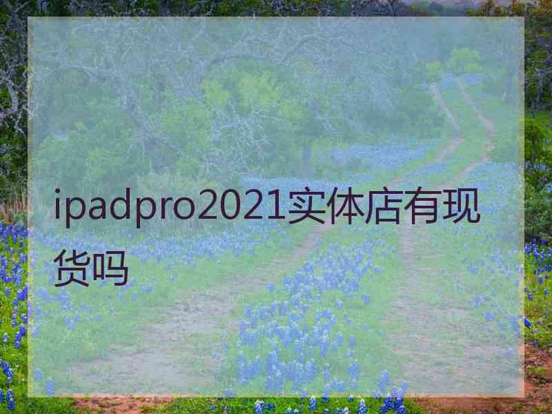 ipadpro2021实体店有现货吗