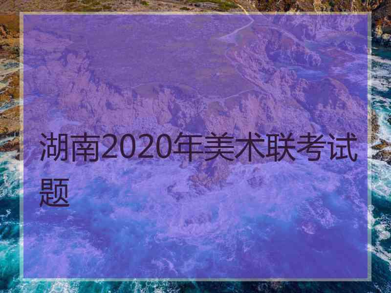 湖南2020年美术联考试题