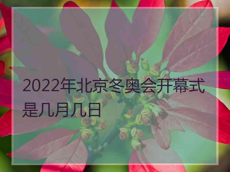 2022年北京冬奥会开幕式是几月几日