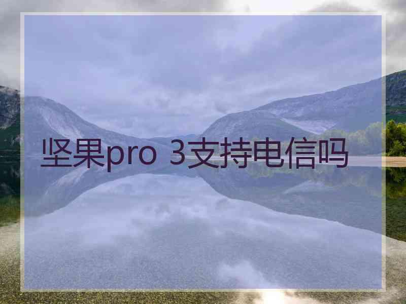 坚果pro 3支持电信吗