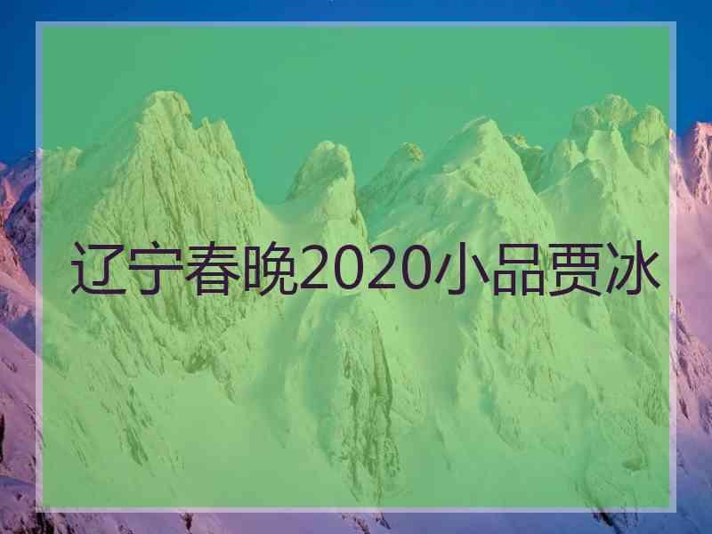 辽宁春晚2020小品贾冰