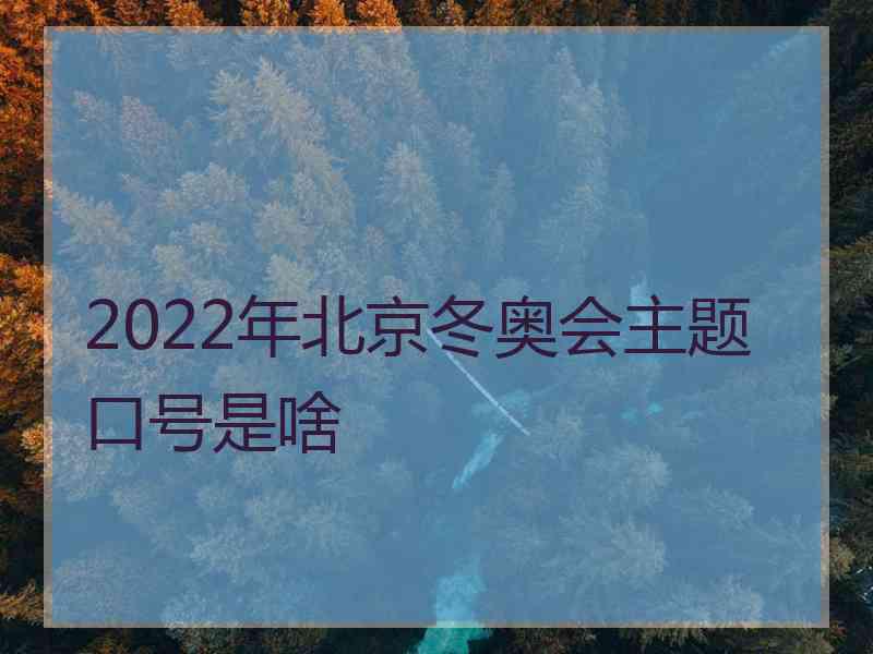 2022年北京冬奥会主题口号是啥