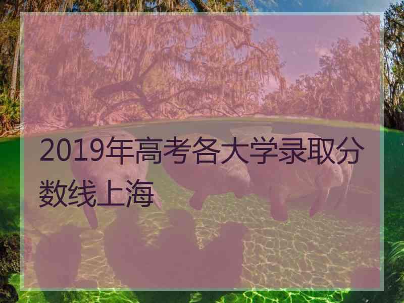 2019年高考各大学录取分数线上海