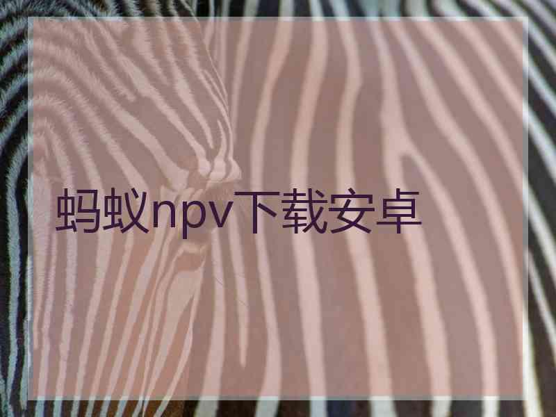 蚂蚁npv下载安卓