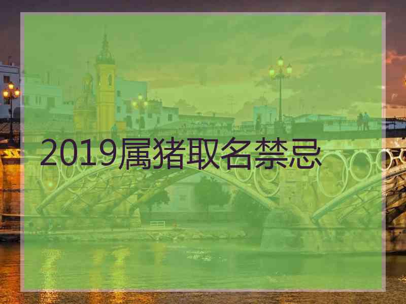 2019属猪取名禁忌