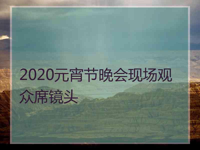 2020元宵节晚会现场观众席镜头