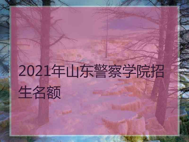 2021年山东警察学院招生名额