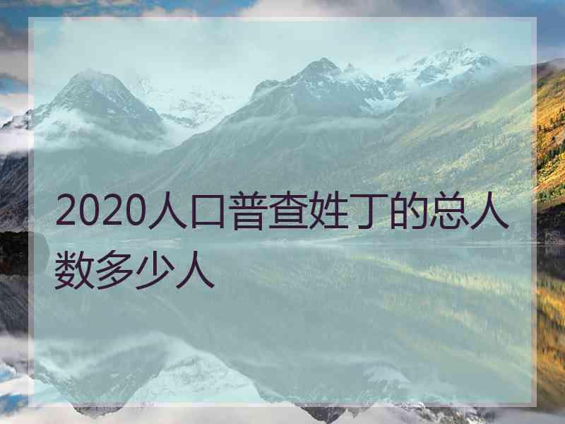 2020人口普查姓丁的总人数多少人