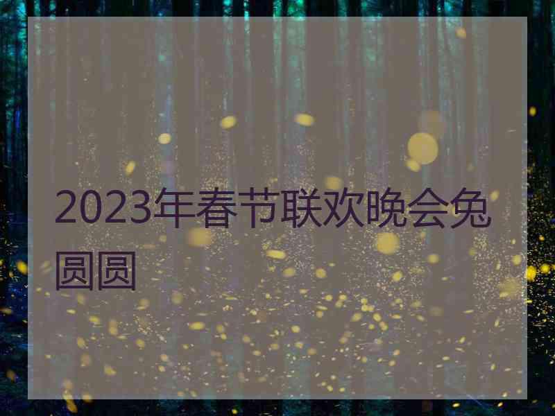 2023年春节联欢晚会兔圆圆