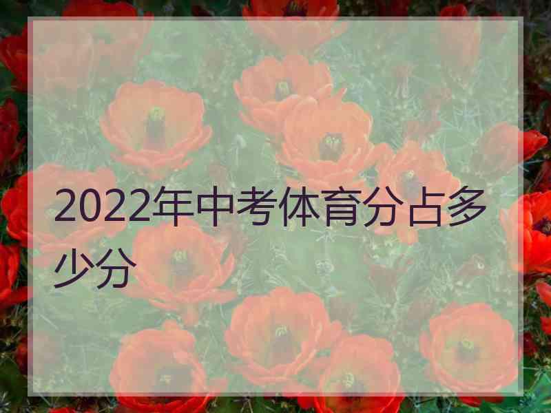 2022年中考体育分占多少分