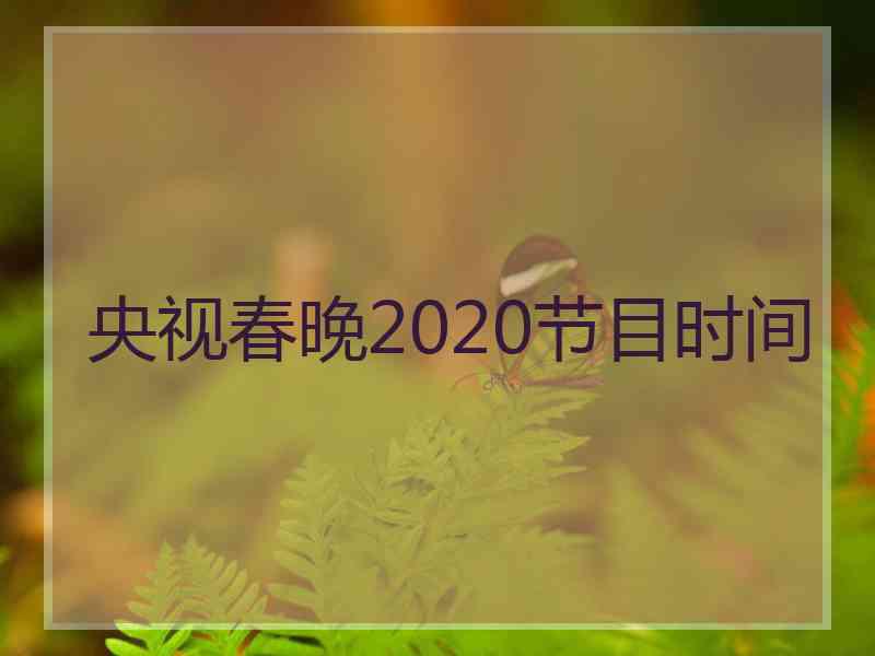 央视春晚2020节目时间