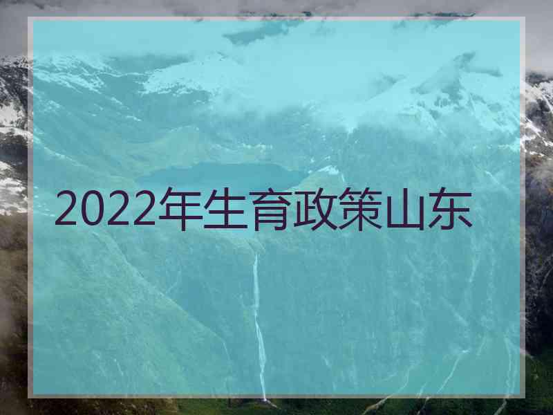 2022年生育政策山东