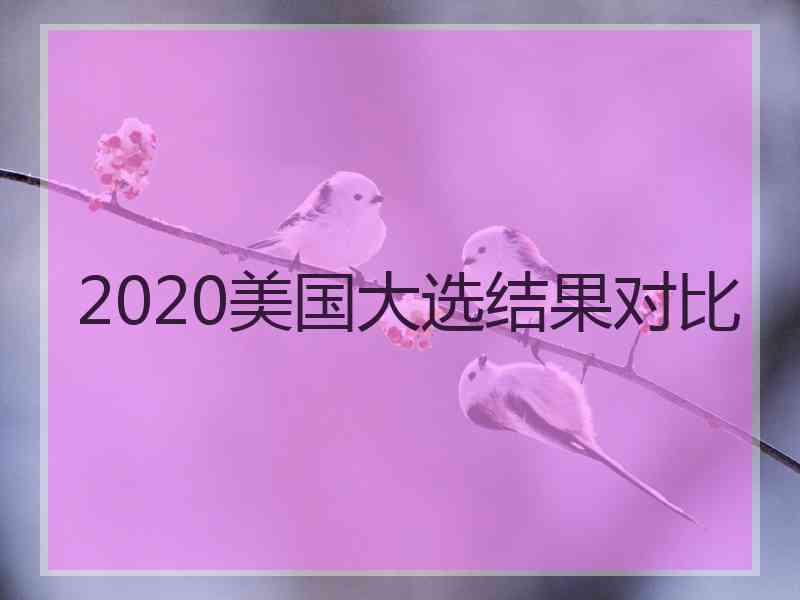 2020美国大选结果对比