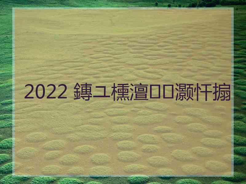 2022 鏄ユ櫄澶灏忓搧