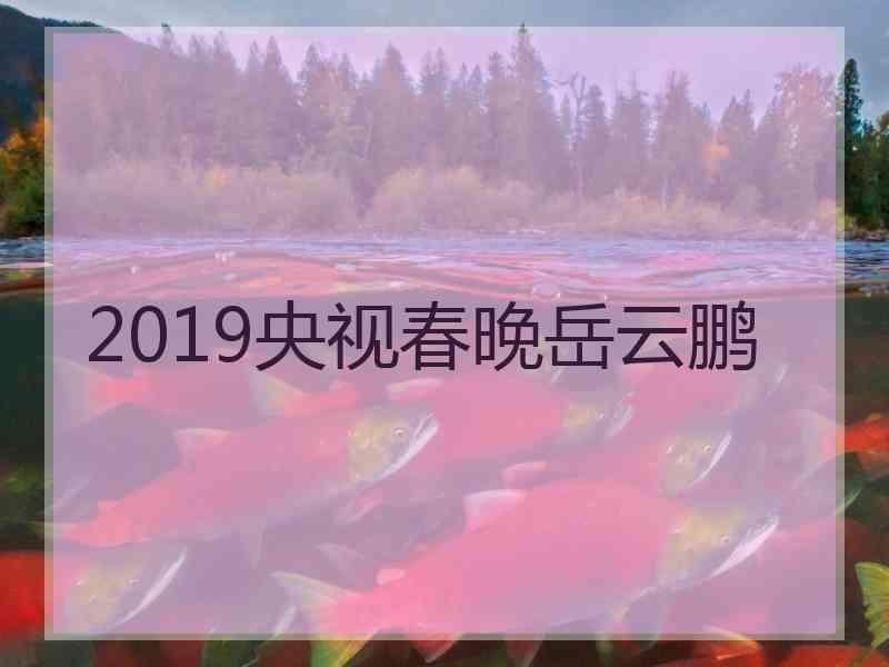 2019央视春晚岳云鹏