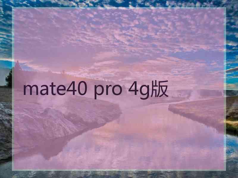 mate40 pro 4g版