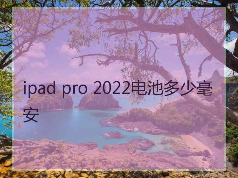 ipad pro 2022电池多少毫安