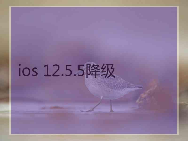 ios 12.5.5降级