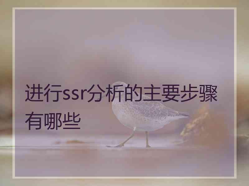 进行ssr分析的主要步骤有哪些