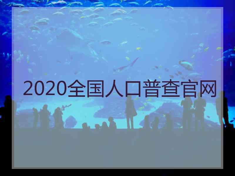 2020全国人口普查官网