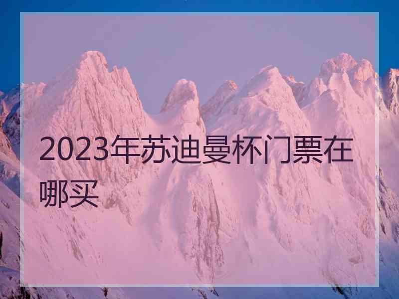 2023年苏迪曼杯门票在哪买