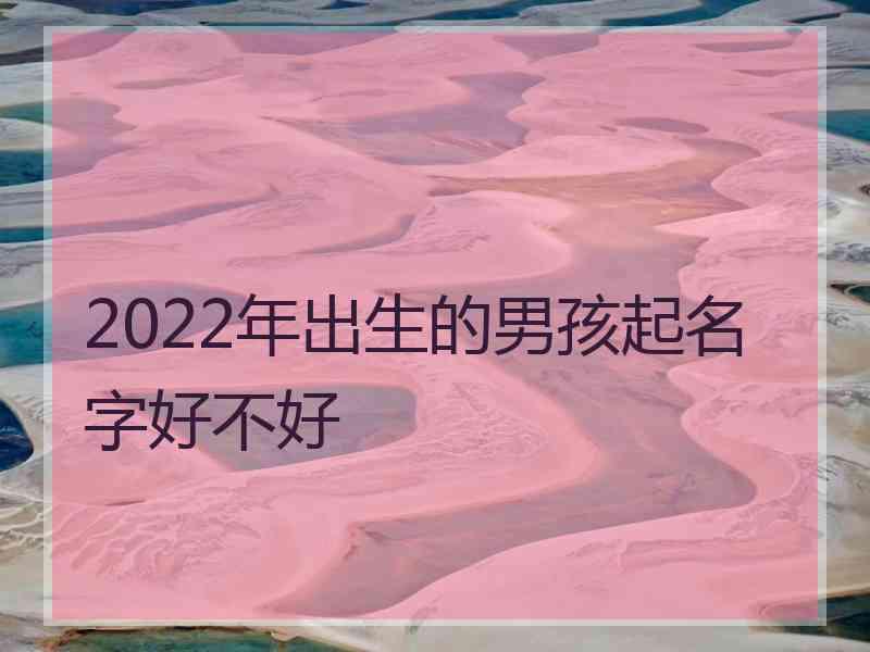 2022年出生的男孩起名字好不好