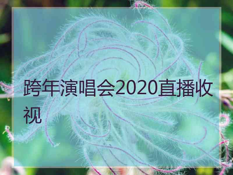 跨年演唱会2020直播收视