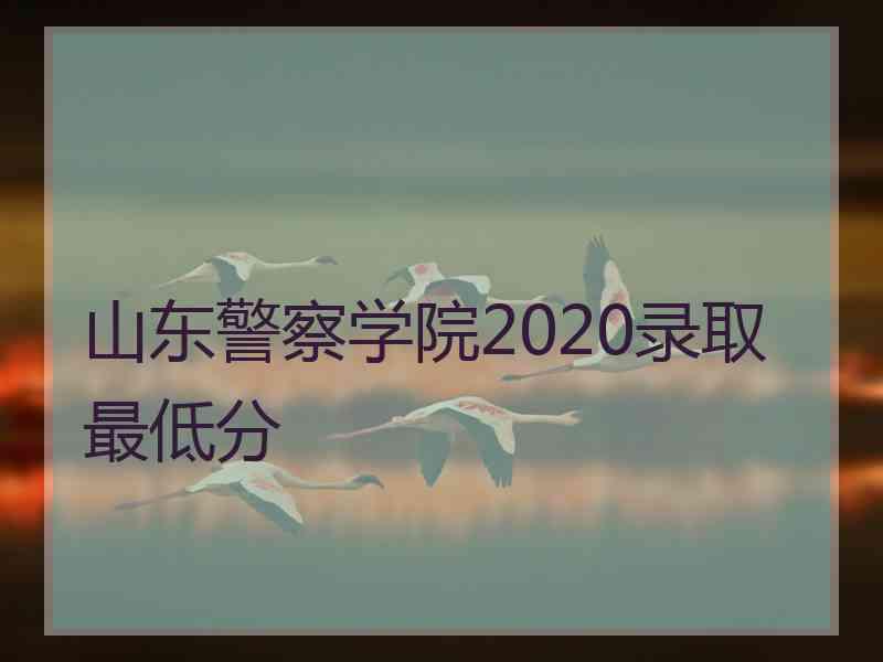 山东警察学院2020录取最低分