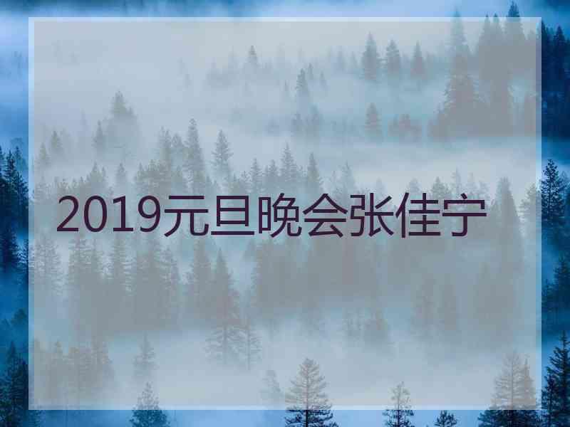 2019元旦晚会张佳宁