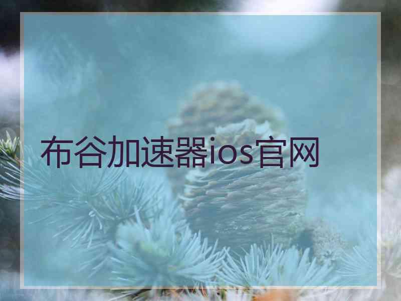 布谷加速器ios官网