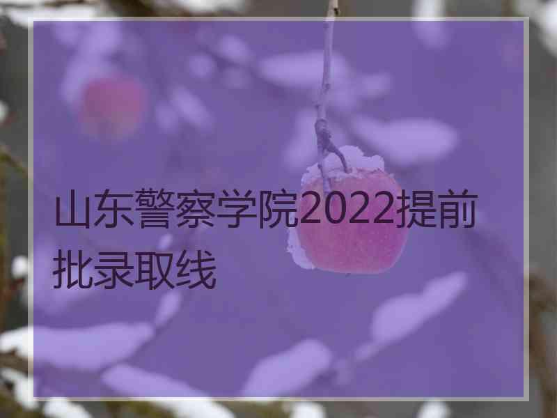 山东警察学院2022提前批录取线