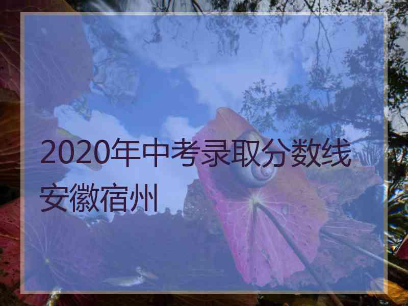 2020年中考录取分数线安徽宿州