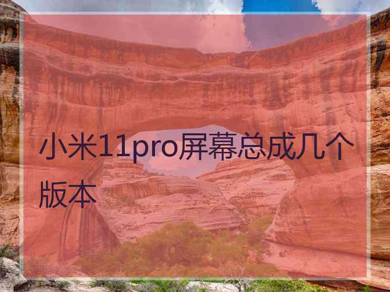 小米11pro屏幕总成几个版本