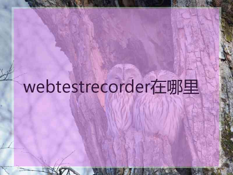 webtestrecorder在哪里