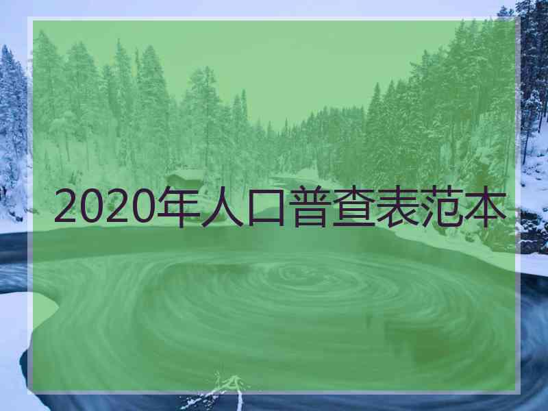 2020年人口普查表范本