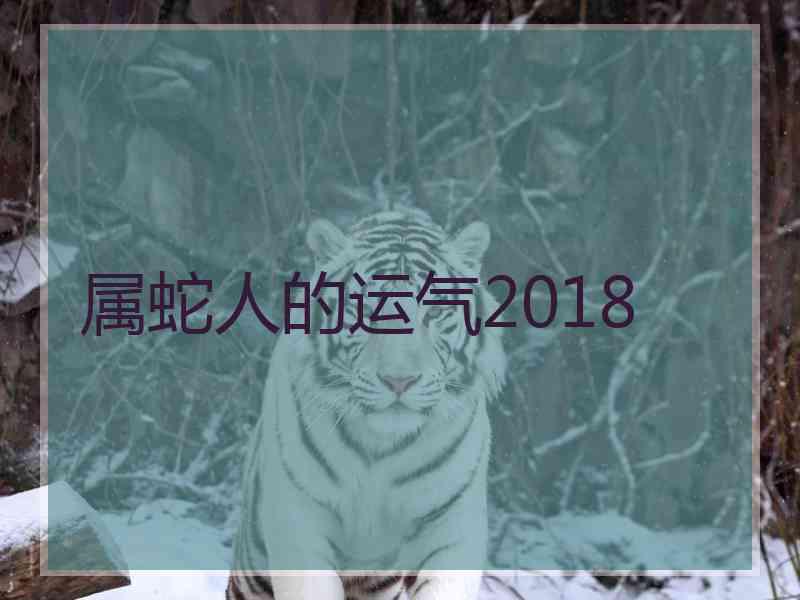 属蛇人的运气2018