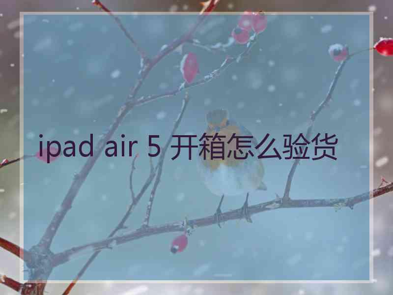 ipad air 5 开箱怎么验货