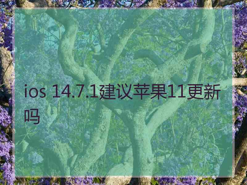 ios 14.7.1建议苹果11更新吗