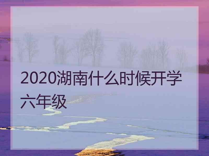 2020湖南什么时候开学六年级