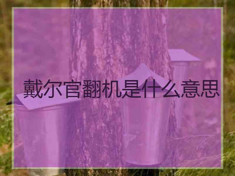 戴尔官翻机是什么意思