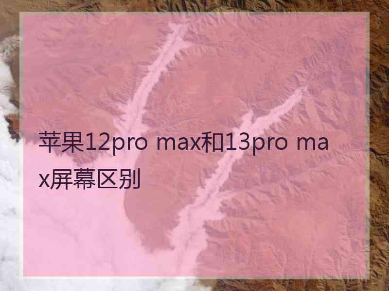 苹果12pro max和13pro max屏幕区别