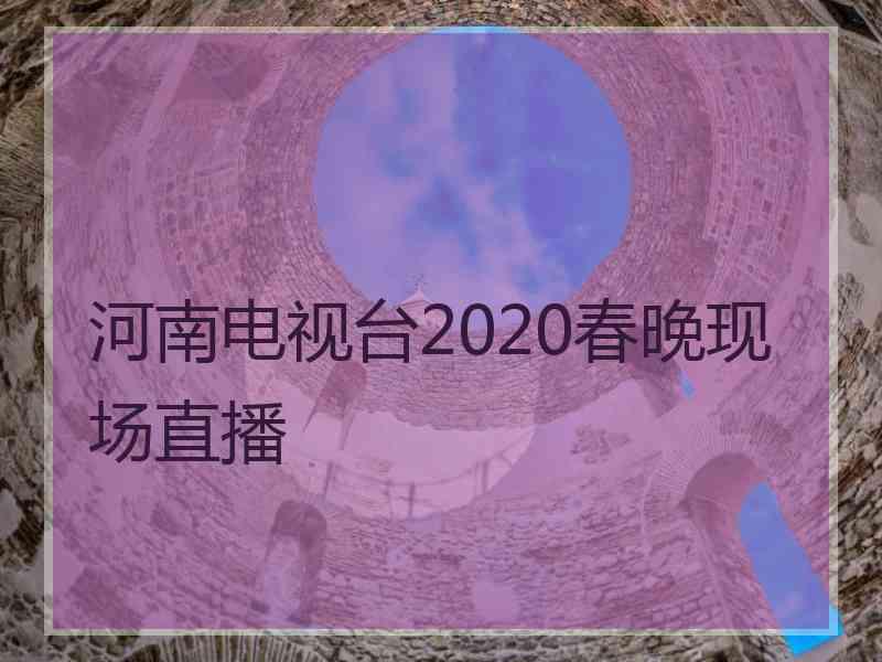 河南电视台2020春晚现场直播