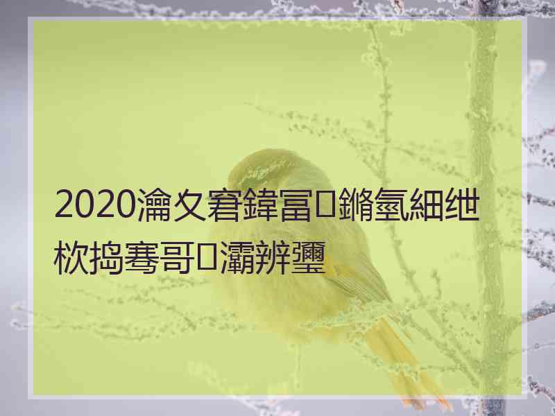 2020瀹夊窘鍏冨鏅氫細绁栨捣骞哥灞辨瓕