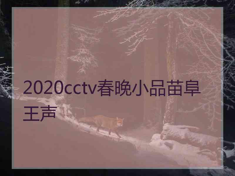 2020cctv春晚小品苗阜王声